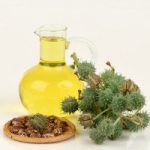 Huile de ricin Utilisée pour les soins de la peau, des plaies et de la chevelure, le ricin est une ancienne plante qui permet de fortifier, traiter, régénérer et réhydrater les cheveux abîmés et desséchés tout en favorisant la croissance des cheveux.
